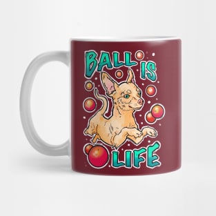 Ball is life! Chihuahua playing Mug